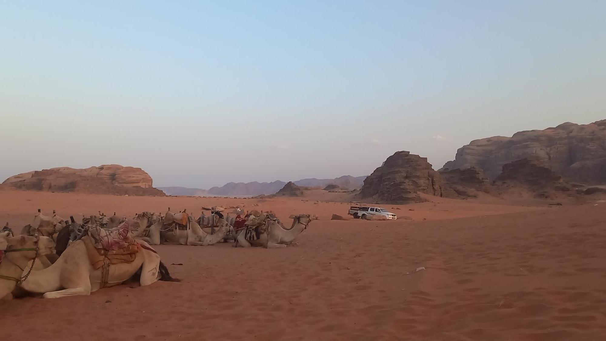 غرووب وادي رم Hotell Eksteriør bilde